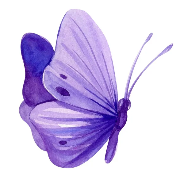 Borboleta Violeta Fundo Branco Isolado Ilustração Aquarela Borboleta Roxa Ilustração — Fotografia de Stock