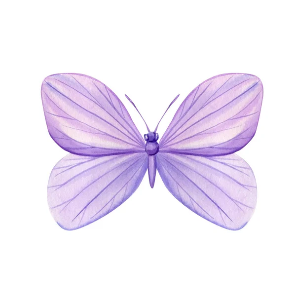Fialový Motýl Izolovaném Bílém Pozadí Akvarel Ilustrace Fialový Motýl Vysoce — Stock fotografie