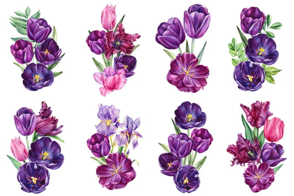 Tulipes Aquarelle Ensemble Fleurs Jardin Multicolores Sur Fond Blanc Isolé — Photo