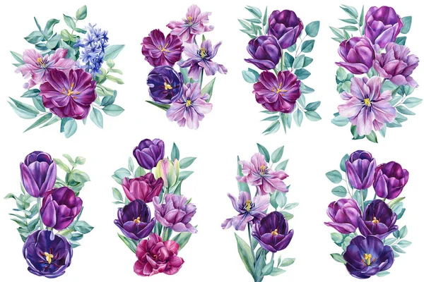 Zestaw Kwiatów Białym Tle Ilustracje Akwareli Fioletowe Tulipany Wysokiej Jakości — Zdjęcie stockowe