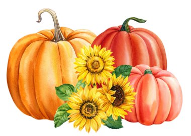 Balkabağı, izole edilmiş beyaz arka planda sonbahar elementleri, suluboya çizimler, el çizimleri. Yüksek kaliteli illüstrasyon