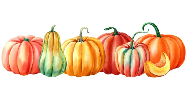 Kürbis Herbstliche Elemente Auf Isoliertem Weißem Hintergrund Aquarell Illustration Handzeichnung — Stockfoto