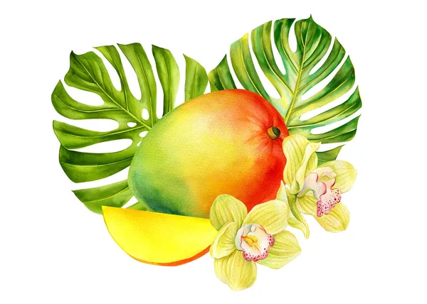 Mango Plátek Palmový List Vanilkový Květ Botanická Akvarel Realistické Ručně — Stock fotografie