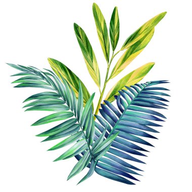 İzole edilmiş beyaz arka planda çok renkli tropikal palmiye yaprakları, suluboya botanik resimler. Tasarım için orman yaprağı. Yüksek kaliteli illüstrasyon