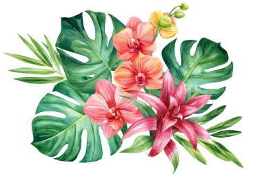 İzole edilmiş beyaz arka planda renkli tropik çiçekler ve palmiye yaprakları, suluboya botanik resim. Yüksek kaliteli illüstrasyon