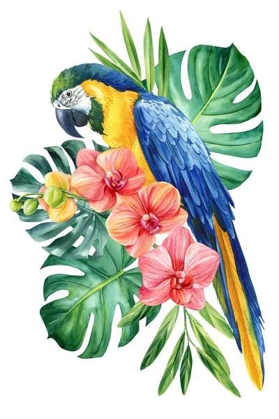 Färgade Tropiska Blommor Och Palmblad Isolerad Vit Bakgrund Akvarell Botanisk — Stockfoto