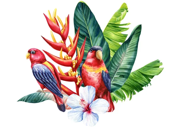 色彩斑斓的热带花卉和棕榈叶在孤立的白色背景 水彩画植物 高质量的例证 — 图库照片