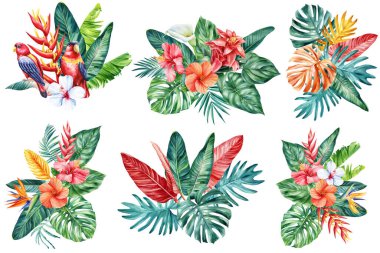 İzole edilmiş beyaz arka planda renkli tropik çiçekler ve palmiye yaprakları, suluboya botanik resim. Yüksek kaliteli illüstrasyon