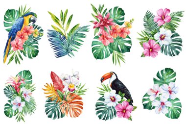 İzole edilmiş beyaz arka planda renkli tropik çiçekler ve palmiye yaprakları, suluboya botanik resim. Yüksek kaliteli illüstrasyon