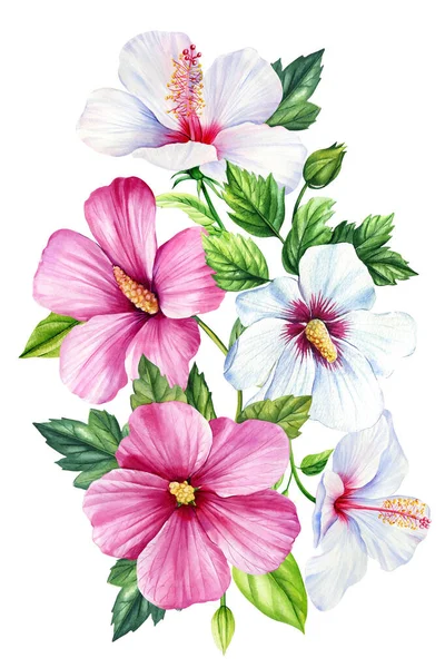 芙蓉设置在孤立的白色背景 水彩缤纷的复古植物热带元素 水彩花插图 高质量的例证 — 图库照片