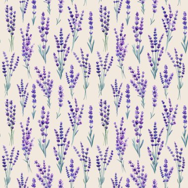 Yaban çiçeği lavantalı el çizimi, çiçek suluboya tarzı ambalaj deseni. Çiçeksiz desen. Yüksek kaliteli illüstrasyon