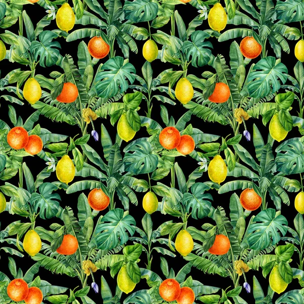 Fondo Tropical Coloreado Pintura Botánica Acuarela Dibujada Mano Patrón Frutas — Foto de Stock