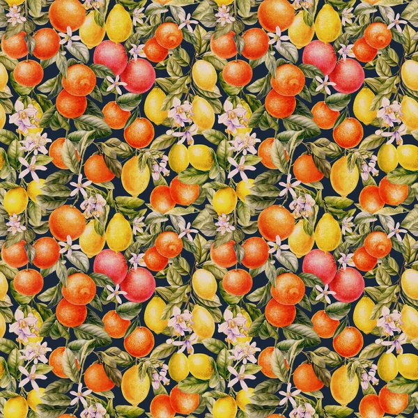 Citrus Bakgrund Handritad Akvarell Botanisk Målning Fruktlöst Mönster Färgade Tropiska — Stockfoto