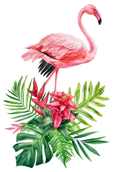 Egzotikus Virágok Pálmalevelek Flamingók Elszigetelt Fehér Háttér Akvarell Botanikus Festészet — Stock Fotó