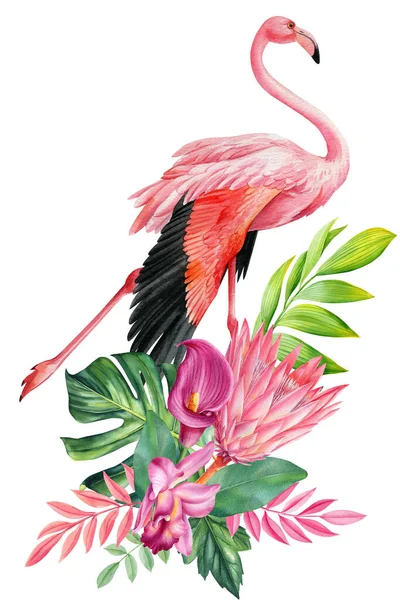 Egzotikus Virág Tenyér Madarak Trópusi Elrendezések Levelekkel Virágokkal Flamingókkal Kártya — Stock Fotó