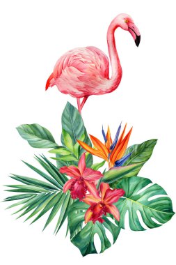 Egzotik çiçekler, palmiye yaprakları ve flamingolar. İzole edilmiş beyaz arka plan, suluboya botanik resim. Yüksek kaliteli illüstrasyon