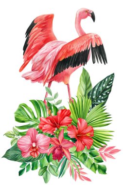 Egzotik çiçekler, palmiye ağaçları, kuşlar. Yapraklar, çiçekler ve flamingolarla tropik düzenlemeler. Kart, davetiye, poster tasarımları. Yüksek kaliteli illüstrasyon