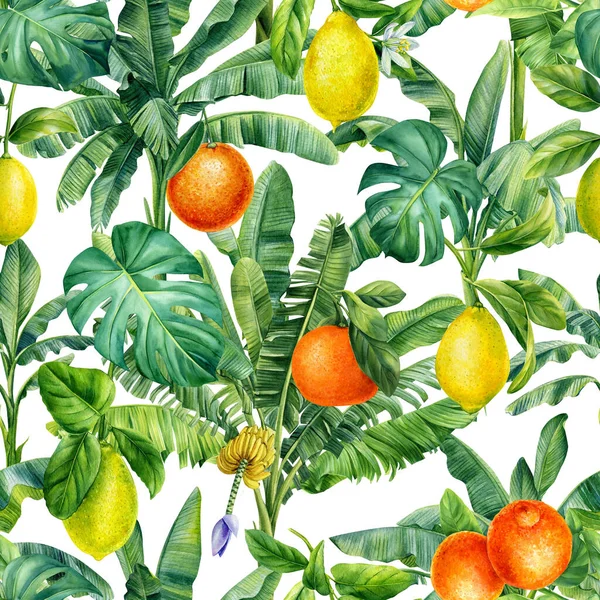 Fundo Tropical Colorido Desenho Mão Aquarela Pintura Botânica Frutas Sem — Fotografia de Stock