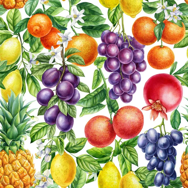 Χρωματιστά Τροπικό Φόντο Ζωγραφισμένα Στο Χέρι Ακουαρέλα Βοτανική Ζωγραφική Φρούτα — Φωτογραφία Αρχείου