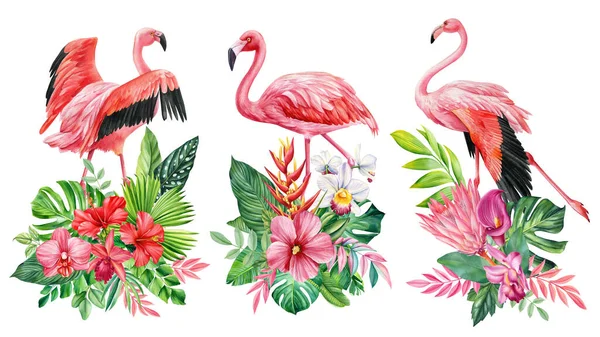 Egzotikus Virág Tenyér Madarak Trópusi Elrendezések Levelekkel Virágokkal Flamingókkal Kártya — Stock Fotó