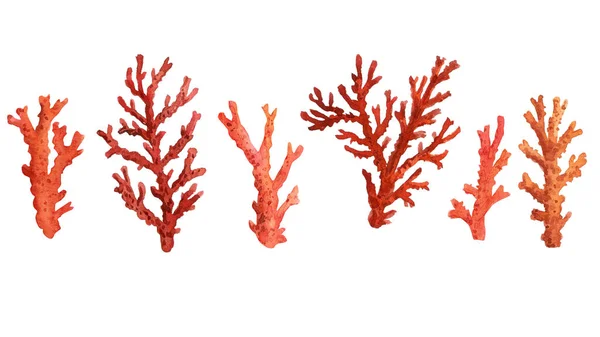 Zole Edilmiş Beyaz Arka Planda Mercan Suluboya Resimleme Çizimi Mercanlar — Stok fotoğraf