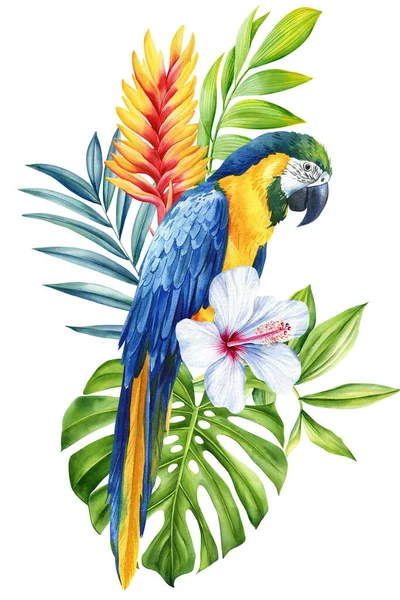 Bela Aquarela Pássaro Tropical Ilustração Mão Desenho Papagaio Flores Folha — Fotografia de Stock