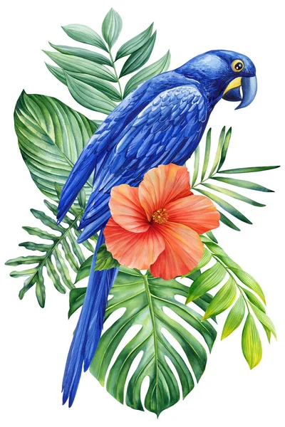 美丽的热带鸟类水彩画手绘 花和棕榈叶在孤立的白色背景 高质量的例证 — 图库照片