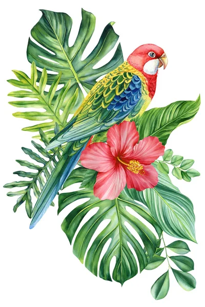 Акварельный Рисунок Птиц Попугай Цветы Пальмовый Лист Изолированном Белом Фоне — стоковое фото