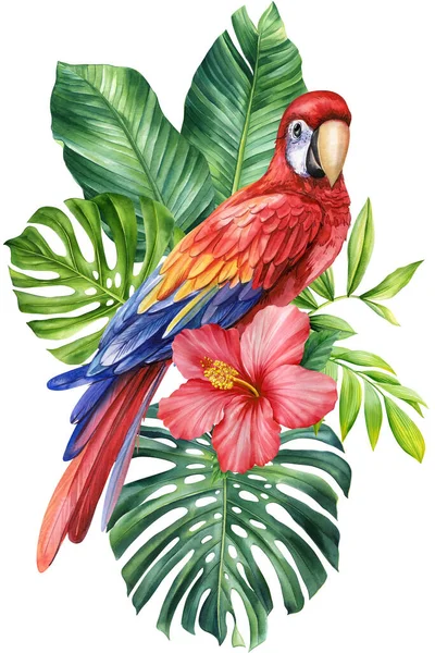 美丽的热带红鸟水彩画 芙蓉花和棕榈叶在孤立的白色背景 高质量的例证 — 图库照片