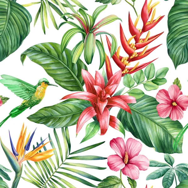 Çiçeksiz Desen Duvar Kağıdı Tropikal Yeşil Palmiye Yaprakları Cennet Çiçeklerinden — Stok fotoğraf