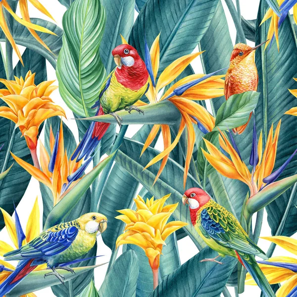 热带鸟类鹦鹉 蜂鸟和紫杉花 棕榈叶 水彩花无缝图案异国情调的植物高质量的例证 — 图库照片
