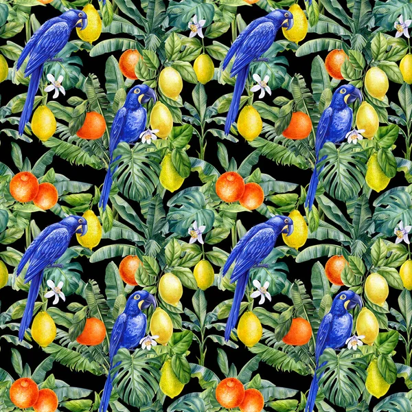 Літній Тропічний Синій Макаронний Папуга Цитрусові Пальмовий Лист Акварельні Джунглі — стокове фото