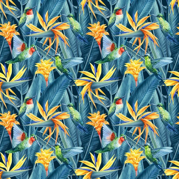 Letní Tropický Pták Kolibřík Listy Džungle Rajský Květ Akvarel Květinové — Stock fotografie