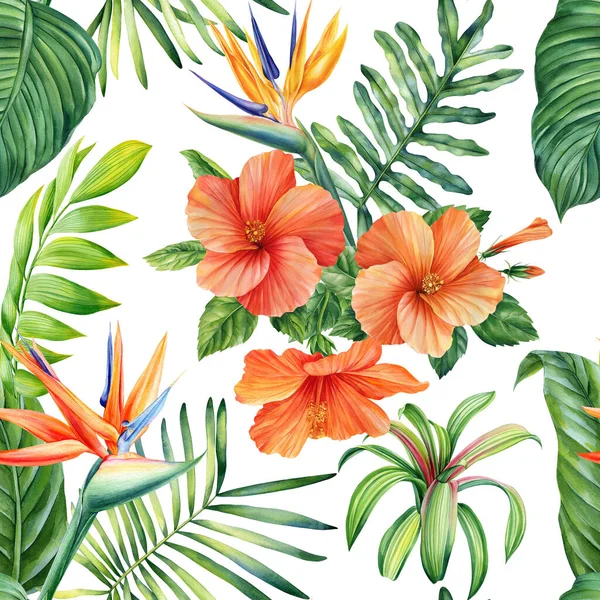 Tapéta Trópusi Pálma Levelek Strelitzia Madár Paradicsom Virágok Akvarell Botanikai — Stock Fotó