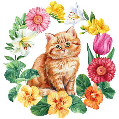 Çiçeklerin yaz çelengi, yaban çiçeği çerçevesi, beyaz arka planda botanik doğal illüstrasyon. Yüksek kaliteli illüstrasyon