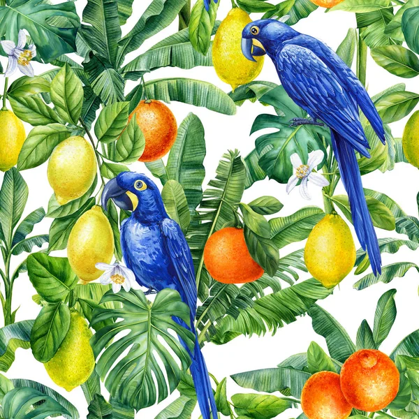 Летний Тропический Голубой Попугай Цитрусовые Пальмовый Лист Акварель Джунгли Листья — стоковое фото