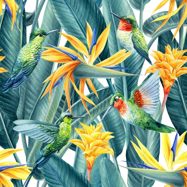 Oiseau Tropical Été Colibri Feuilles Jungle Oiseau Fleur Paradis Aquarelle — Photo