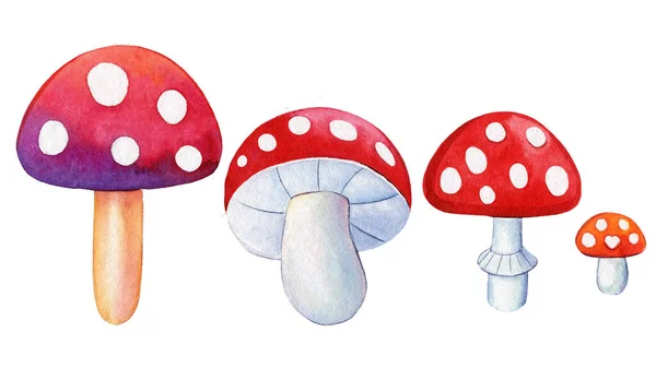 水色蘑菇集 在白色的背景上飞扬不可知论 明亮的图画 嬉皮复古70 60年代的设计元素 高质量的例证 — 图库照片