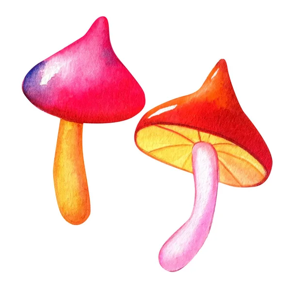 水色蘑菇集 在白色的背景上飞扬不可知论 明亮的图画 嬉皮复古70 60年代的设计元素 高质量的例证 — 图库照片