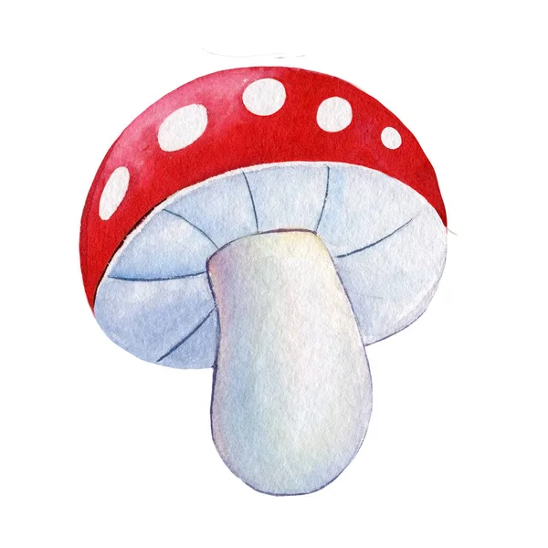 水色的蘑菇 白色背景上的玛瑙状飞行 明亮的图画 高质量的例证 — 图库照片