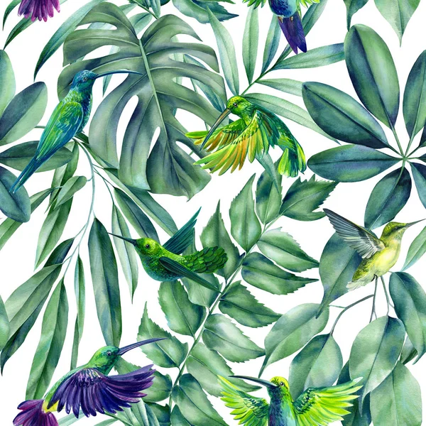 Beija Flor Pássaro Tropical Folhas Palma Padrão Sem Costura Floral — Fotografia de Stock