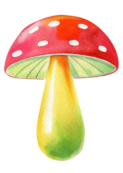 Cogumelos Aquarela Voar Agárico Fundo Branco Desenho Brilhante Ilustração Alta — Fotografia de Stock