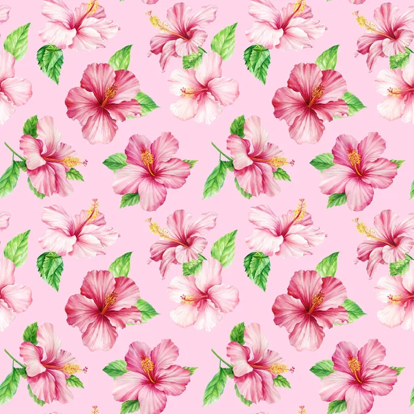 Розовый Цветок Гибискус Тропические Красочные Цветочные Экзотические Обои Джунглей Акварельный — стоковое фото