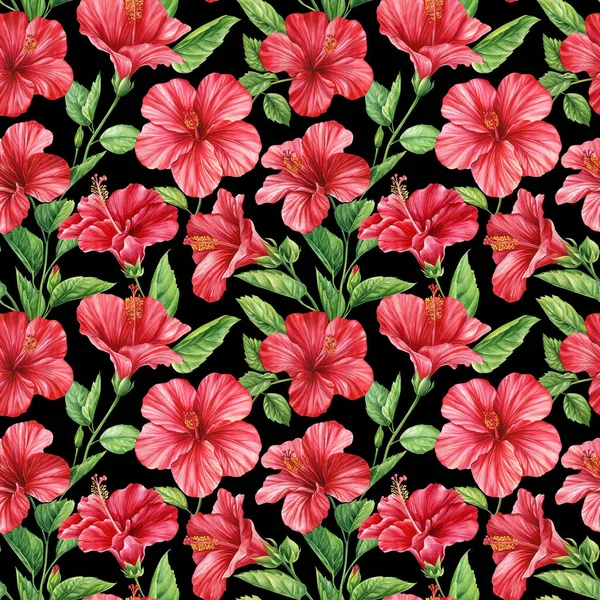 Tropiska Sommar Blomma Hibiskus Tropiska Färgglada Blommor Exotisk Djungeltapet Akvarell — Stockfoto