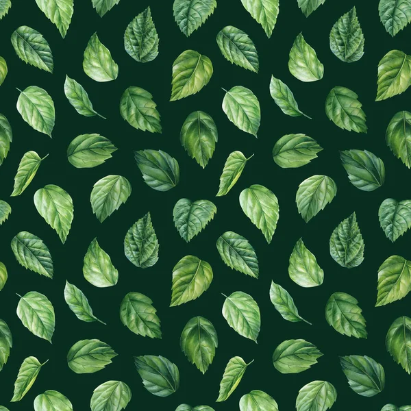 绿叶无缝图案 奇异的热带植物 丛林壁纸 水彩植物图案 芙蓉叶 高质量的例证 — 图库照片