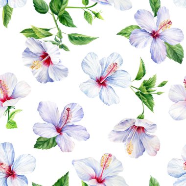 Hawaii desensiz, egzotik tropikal bitkiler, orman duvar kağıtları. Suluboya botanik desenli yaz çiçeği amblemi. Yüksek kaliteli illüstrasyon