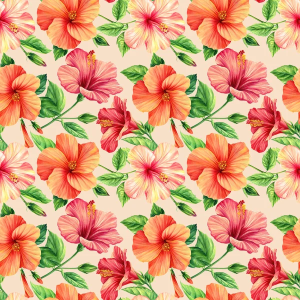 Flor Tropical Verão Hibisco Floral Colorido Tropical Papel Parede Exótico — Fotografia de Stock
