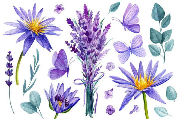 Flores Sobre Fondo Blanco Aislado Ilustraciones Acuarela Loto Púrpura Lavanda — Foto de Stock