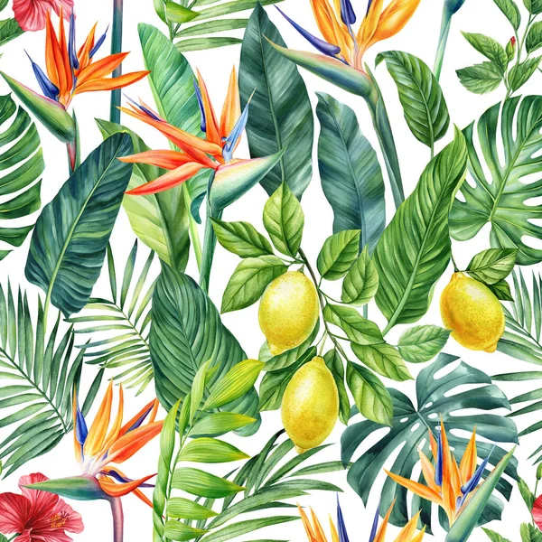 Zökkenőmentes Trópusi Minta Citromos Gyümölcsökkel Pálmalevélekkel Strelitzia Virágokkal Akvarell Festés — Stock Fotó