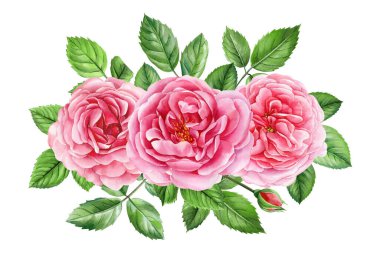 Düğün davetiyesi, doğum günü kartı, tasarım, baskı ve kumaş için suluboya resimler. Çiçek ve yaprak. Yüksek kaliteli illüstrasyon